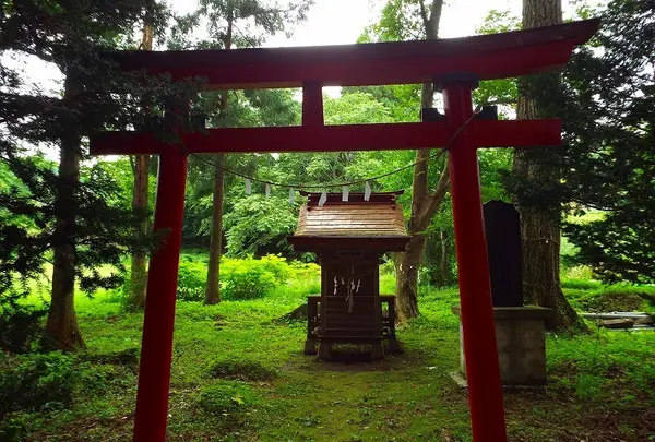新山神社の写真・動画_image_29271