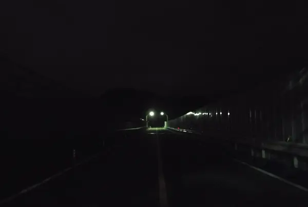 八木山橋の写真・動画_image_44097