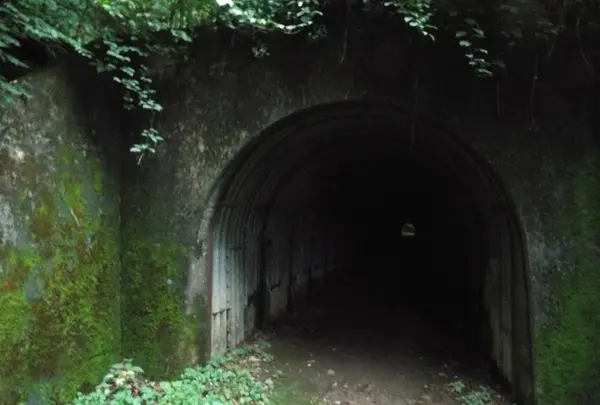 太白山トンネルの写真・動画_image_44104