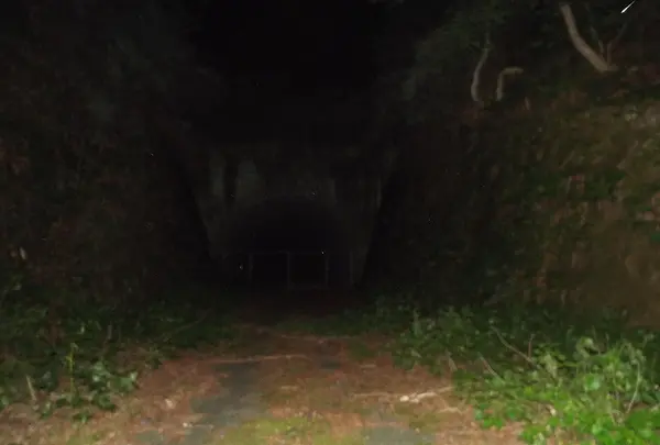 旧加茂坂トンネルの写真・動画_image_46932