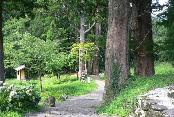 白山中居神社の写真・動画_image_47325