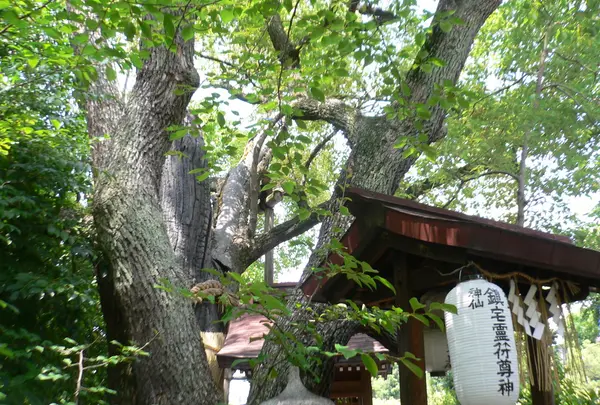 堀越神社(大阪)の写真・動画_image_58474
