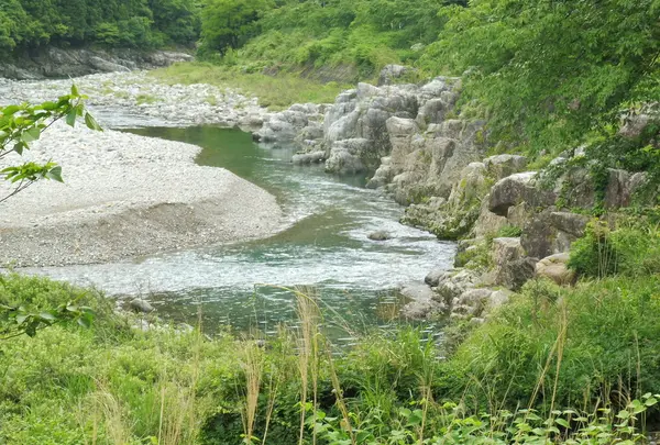 板取川周辺の景色