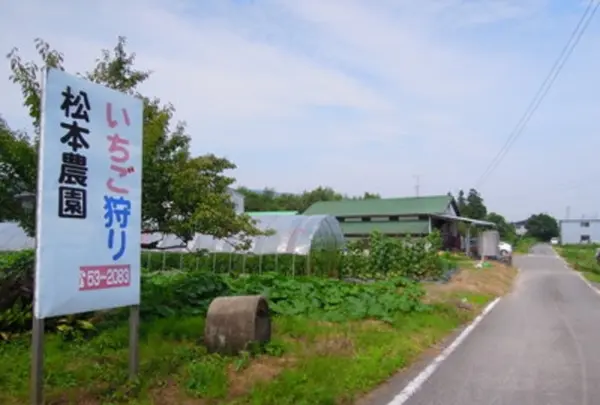 松本農園