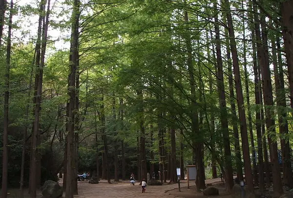 生田緑地公園