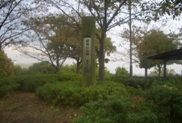 千島公園の写真・動画_image_135004