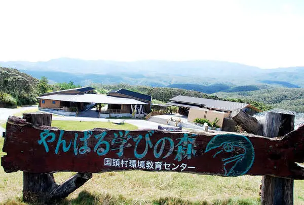 男女兼用 沖縄本島/北部ヤンバルの森/e 沖縄本島/北部ヤンバルの森/b