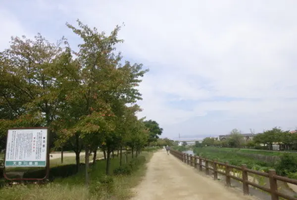 天野川緑地の写真・動画_image_136445