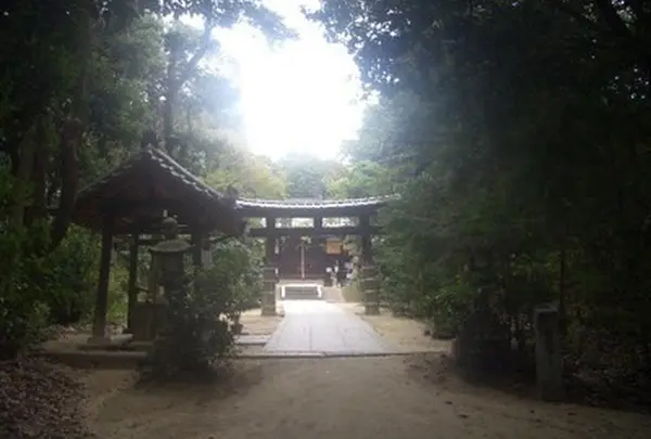 交野天神社の写真・動画_image_138344