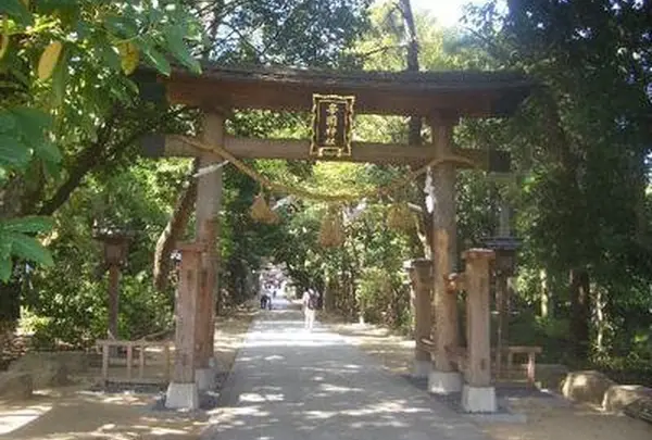 辛国神社の写真・動画_image_139159