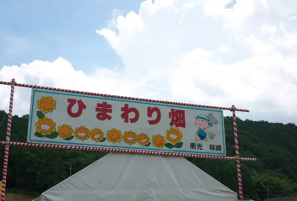 ひまわり祭り・南光スポーツ公園