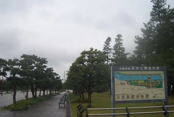 浜寺公園の写真・動画_image_144065
