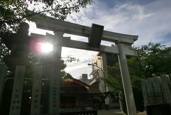 山本八幡宮の写真・動画_image_146441