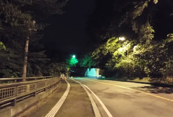 八木山橋の写真・動画_image_148534