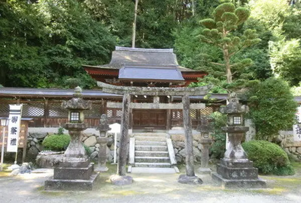 烏帽子形八幡神社の写真・動画_image_155068