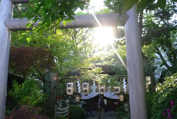 堀越神社(大阪)の写真・動画_image_162919