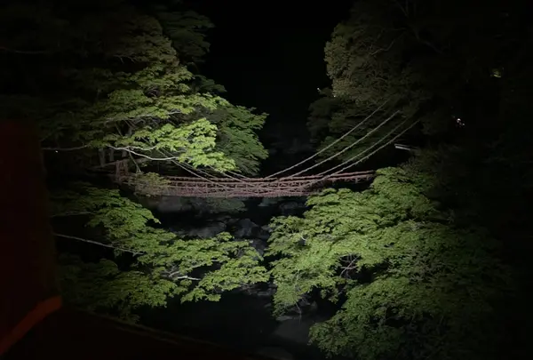 夜のかずら橋