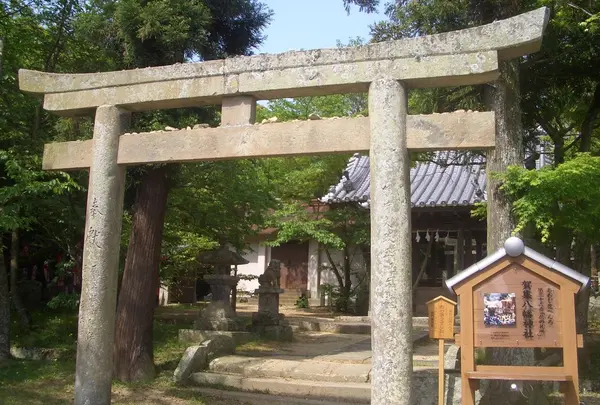 賀集八幡神社の写真・動画_image_169647
