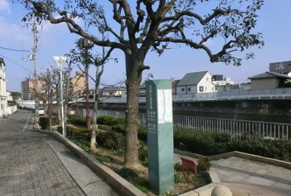西除川遊歩道の写真・動画_image_175717