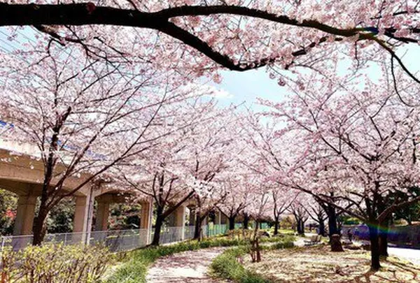 荒子川公園