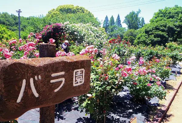 西山公園　豊田