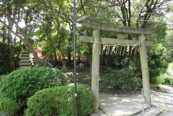 意賀美神社の写真・動画_image_186353
