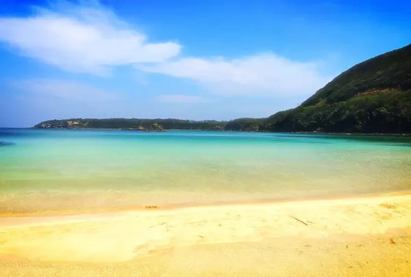 三宇田海水浴場の写真・動画_image_188126