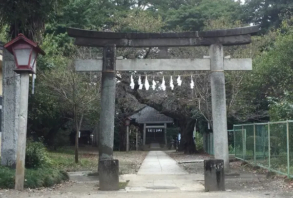 松山神社の写真・動画_image_201350