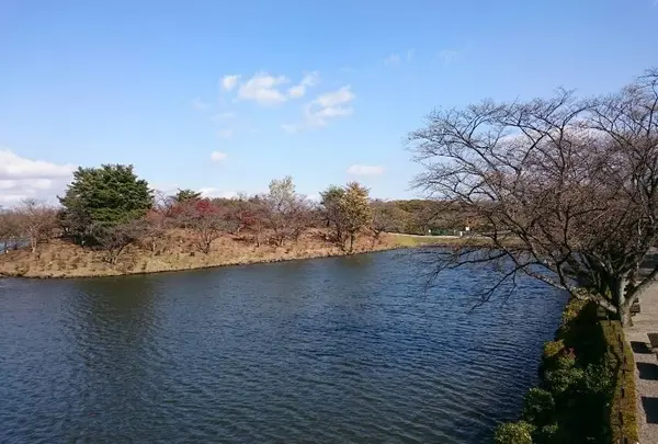 那須りんどう湖レイクビューの写真・動画_image_201467