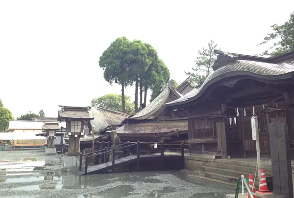 阿蘇神社の写真・動画_image_211558