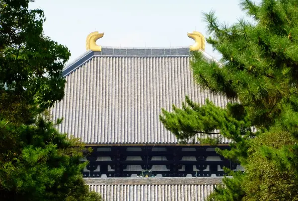 東大寺の写真・動画_image_262495
