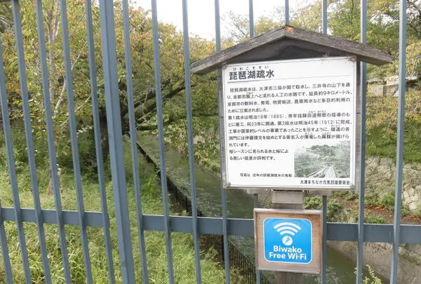 琵琶湖疏水の写真・動画_image_270552