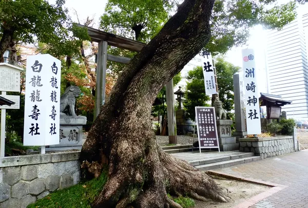 洲崎神社の写真・動画_image_290056