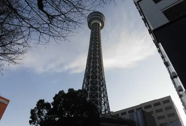 横浜マリンタワーの写真・動画_image_291442