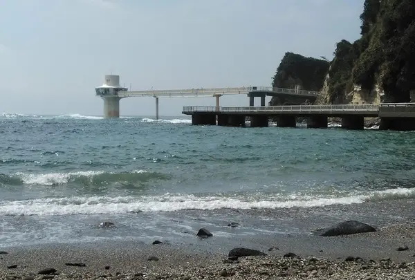 勝浦海中公園海中展望塔の写真・動画_image_430091