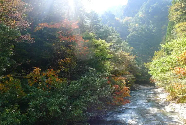 日之影川流域