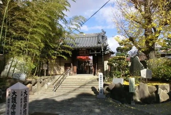 東光院 萩の寺の写真・動画_image_992627