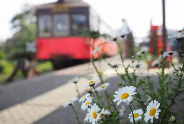 ホームには綺麗な花が