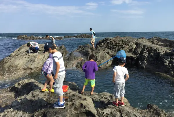 照ヶ崎海岸の写真・動画_image_30172