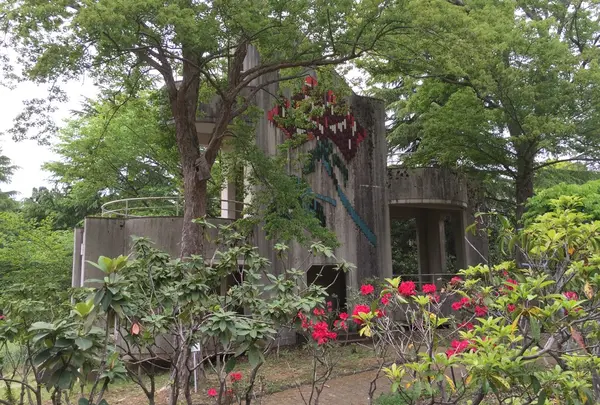 茨城県植物園の写真・動画_image_30909