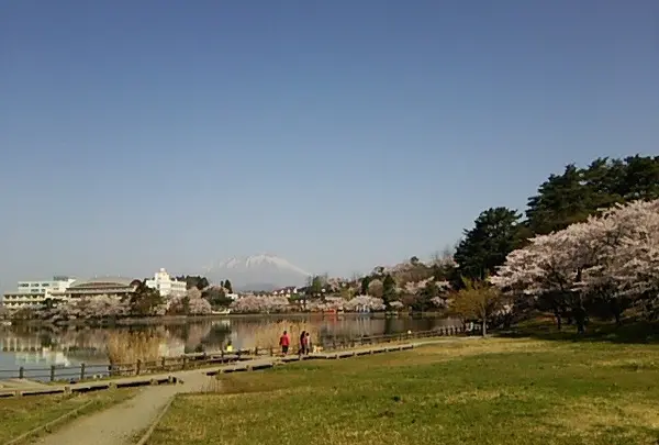 高松公園の写真・動画_image_74125