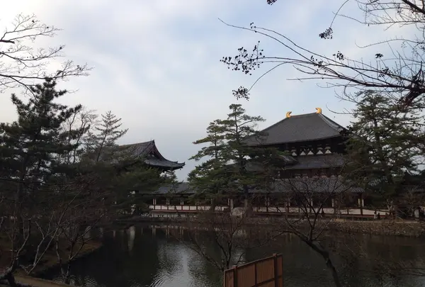 東大寺の写真・動画_image_127437