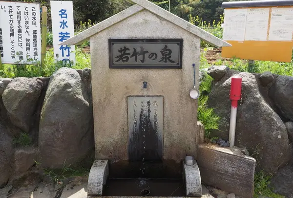 若竹の泉の写真・動画_image_133670