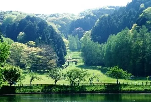 矢田山遊びの森