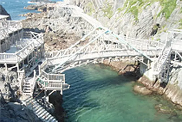 神津島 赤崎海水浴場の写真・動画_image_148366