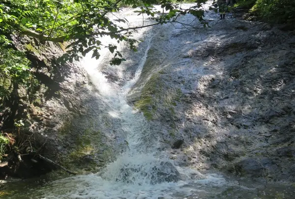 カムイワッカの湯の滝の写真・動画_image_174307