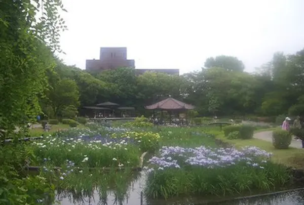 城北菖蒲園