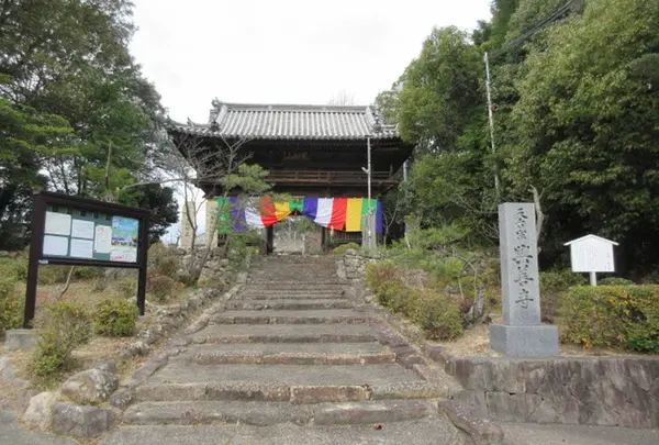 興善寺の写真・動画_image_581375
