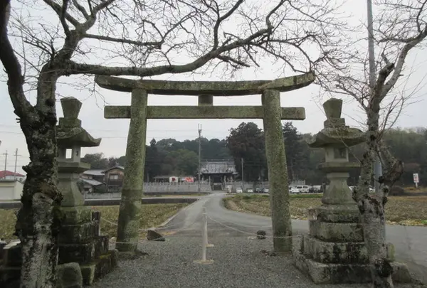日吉神社の写真・動画_image_619782