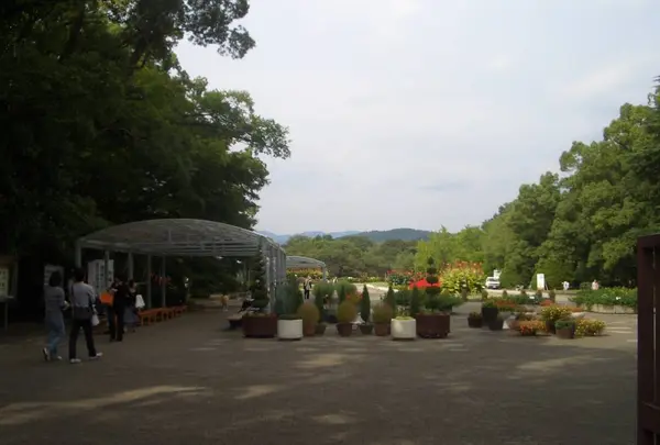京都府立植物園の写真・動画_image_720908